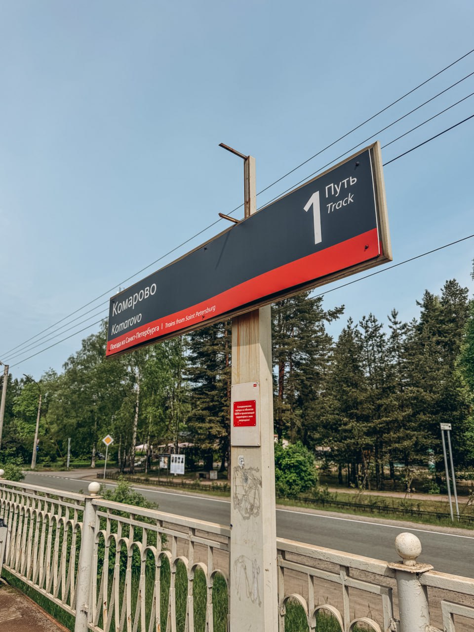 Эко-тропа «Комаровский берег»: прогулка одним днём из Петербурга к Финскому заливу