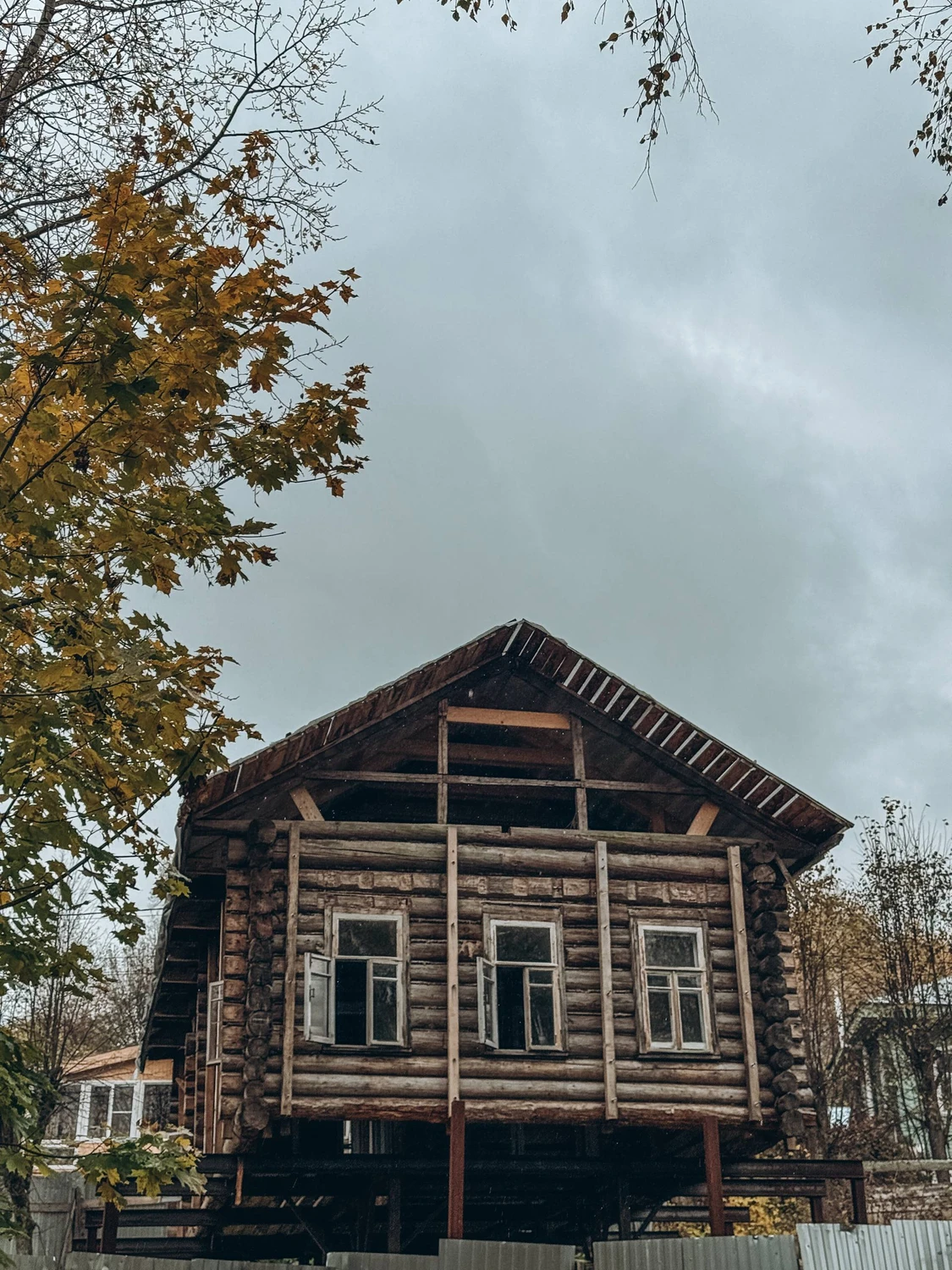 Image 5